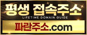평생도메인